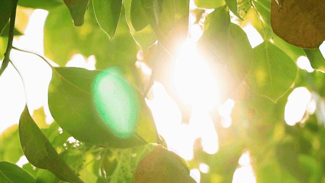 寒疫期间，男女各有一个部位万万冻不得，小心落下病根