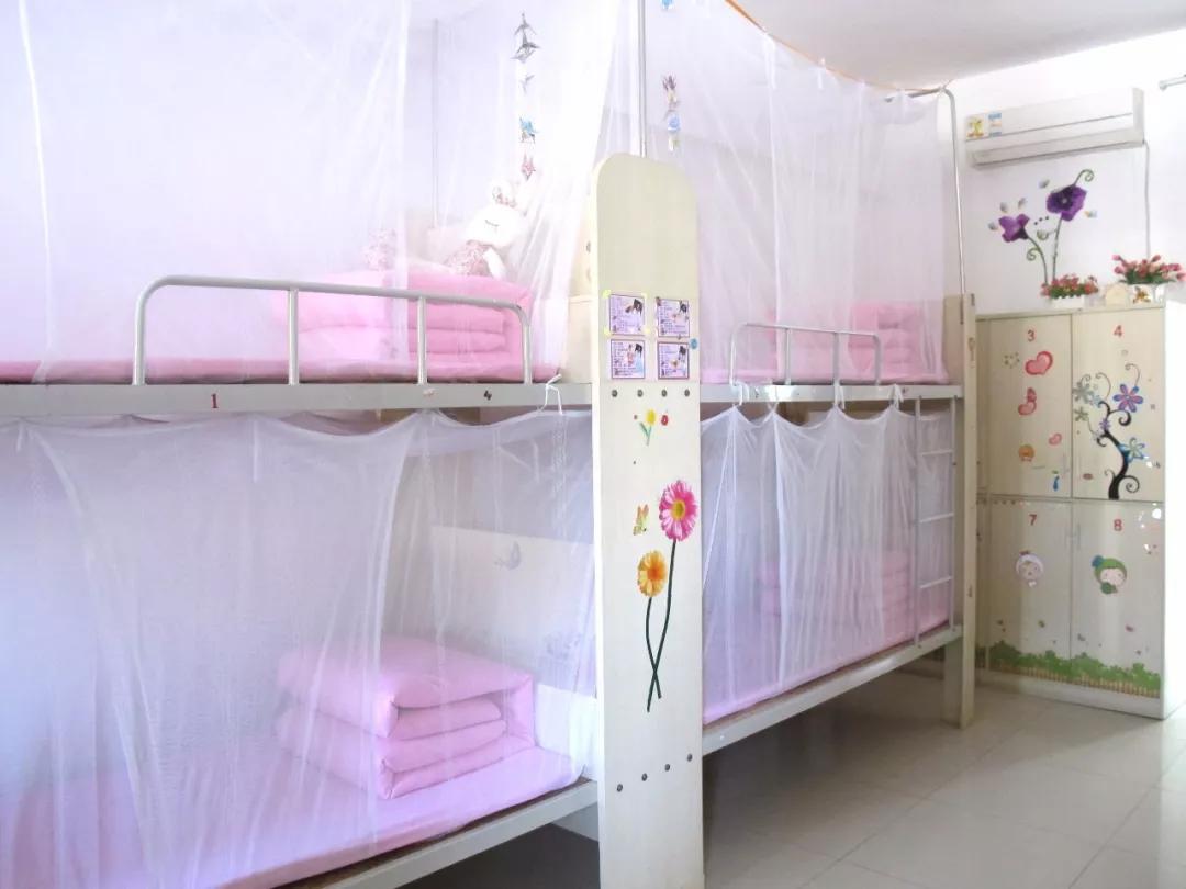 东莞桥头石竹师范附属学校,东莞石竹学校在东莞哪里