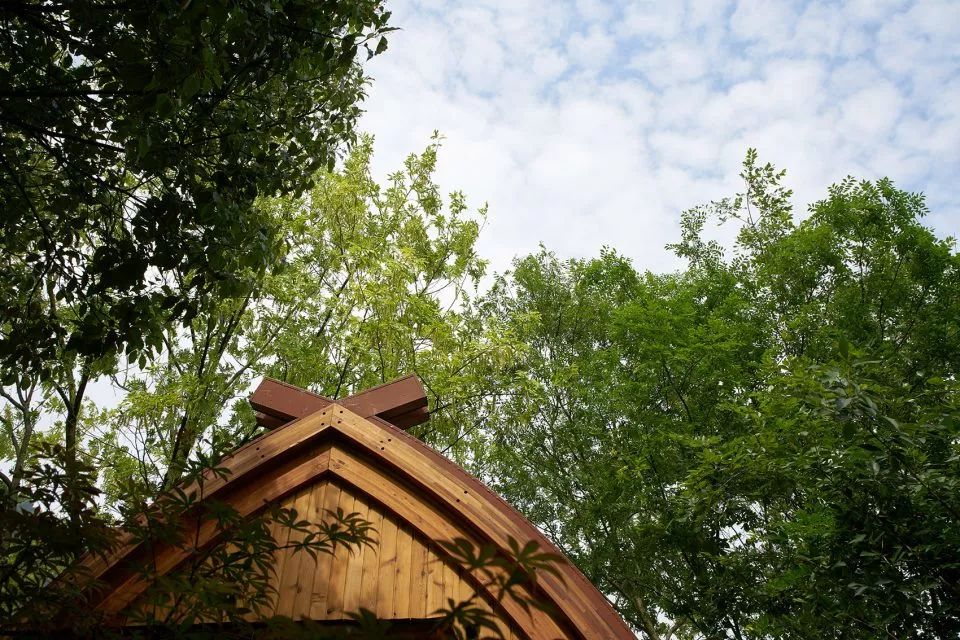 中国船和越南船对比,中国船航vs印度船航