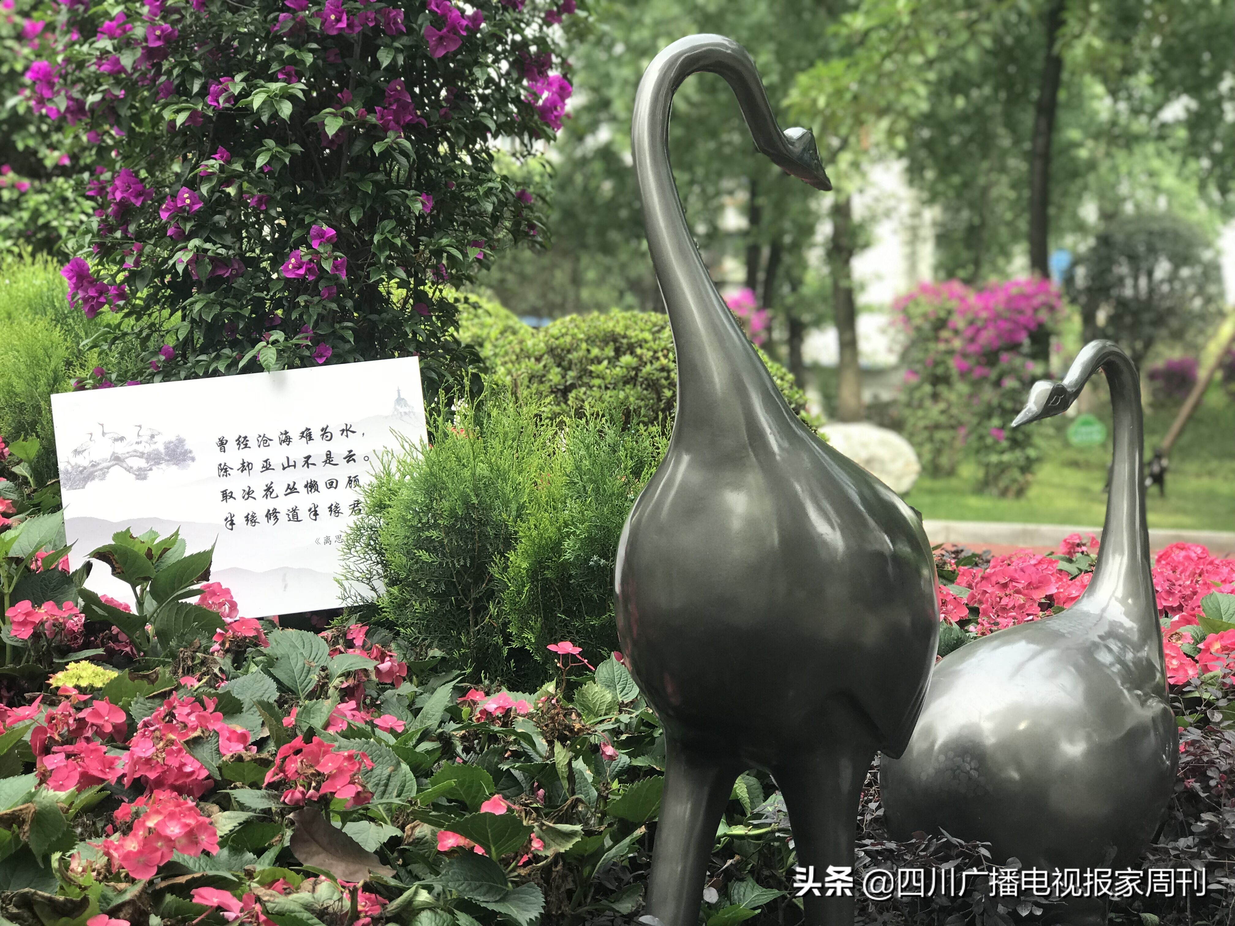 晋吉社区居民1314主题公园赴一场浪漫之约