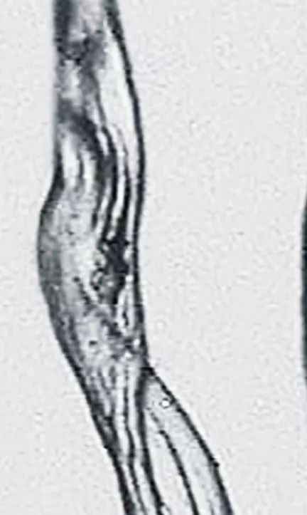 艺术家做人性实验,艺术家做手工