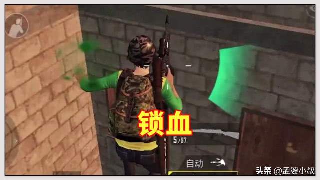 和平精英哪些常见的外挂,和平精英最常见的外挂是哪种