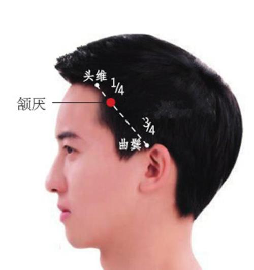 每日一穴丰隆穴,每日一穴中脘穴