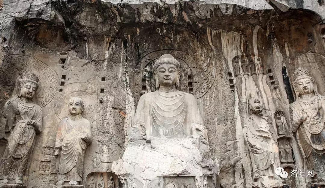 洛阳牡丹花会邀请,洛阳邀请全世界人民看牡丹