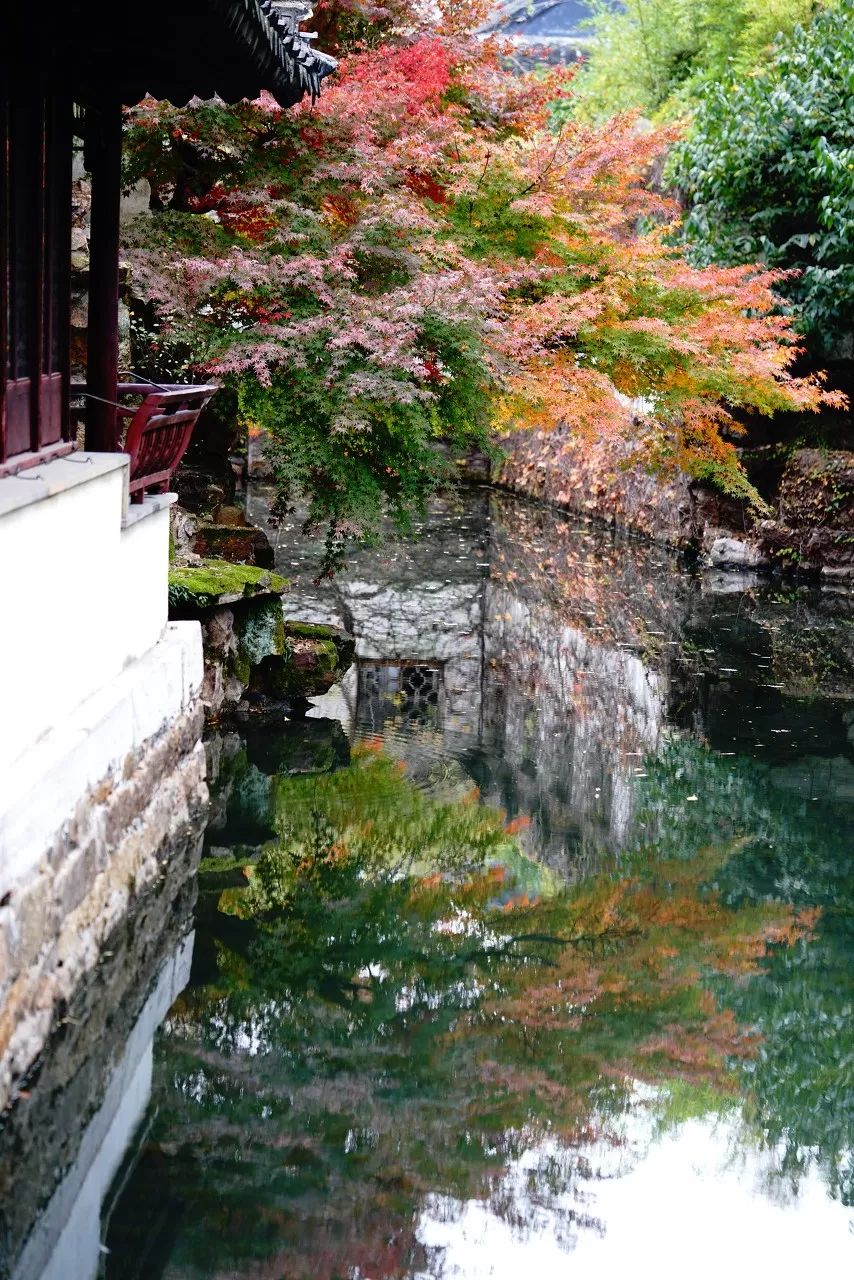 一入秋苏州成姑苏,秋色一入秋苏州就成了姑苏