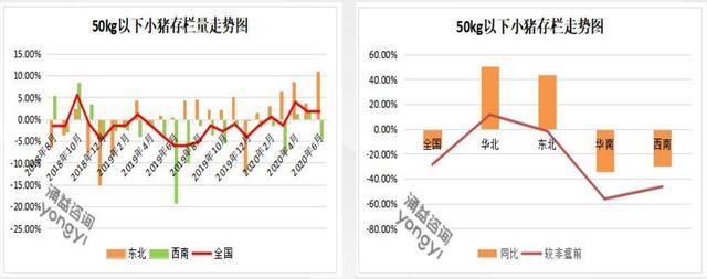 中粮肉食价值分析:性价比最高的猪肉股是他吗