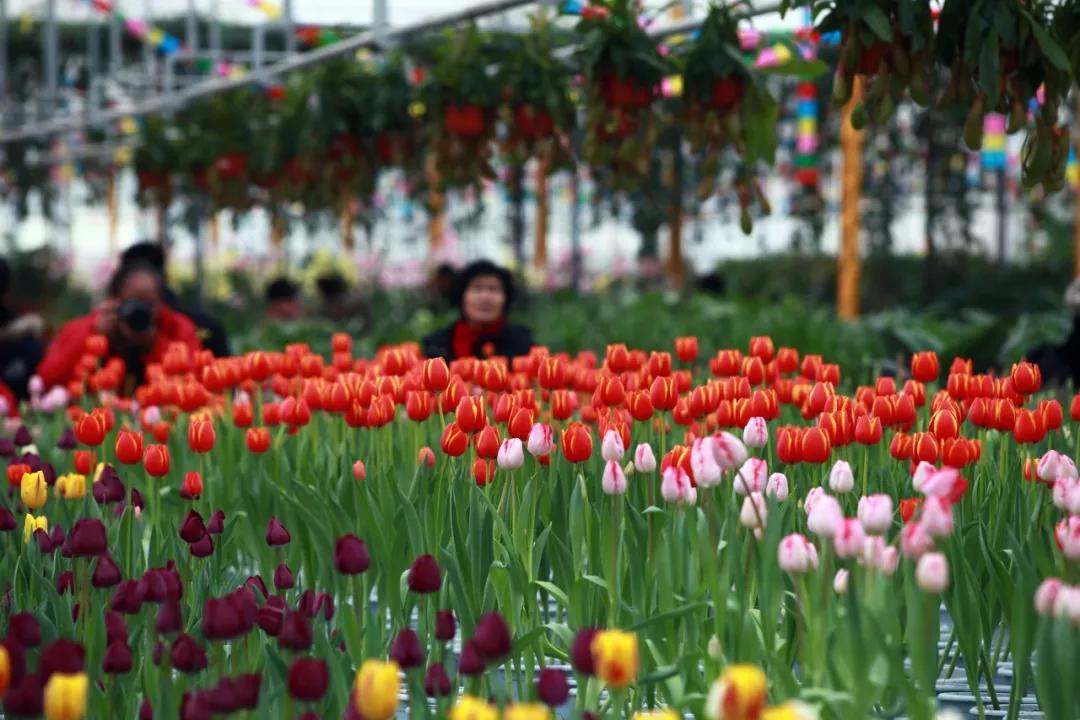 东北三省最适合宜居的城市,东北三省宜居养老城市