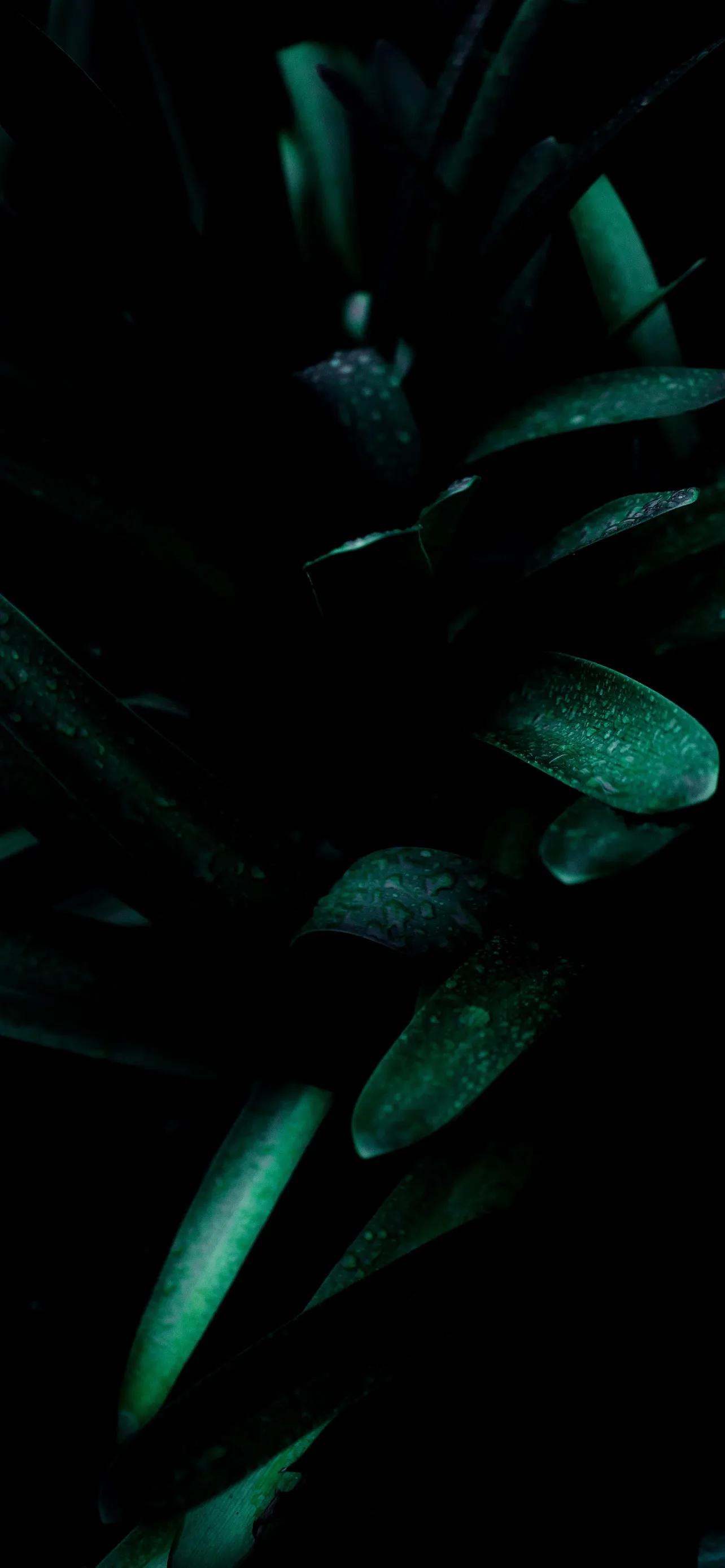 深色风景壁纸全面屏,深色壁纸手机超清100张图片