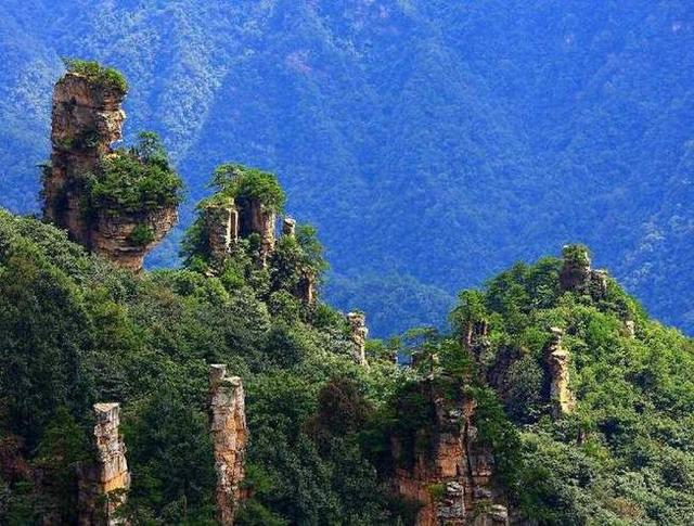 有哪些原始森林公园可以去玩,世界森林公园美景视频