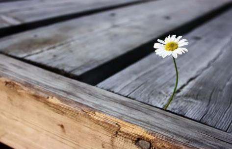 人过五十富不管二事,人过七十就必须换个活法