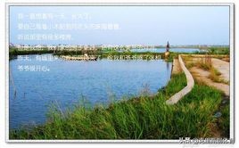 广东自驾游攻略一日游景点珠海,广东珠海攻略详细