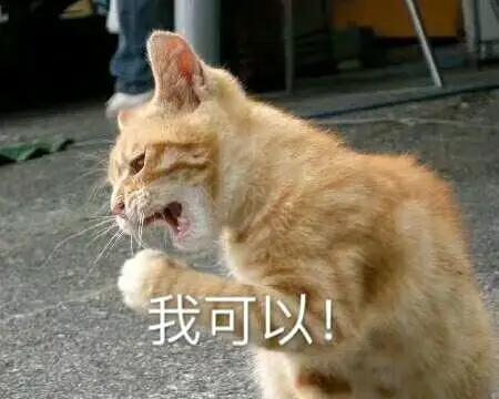 区块链发展前景究竟怎么样,区块链是个什么玩意儿