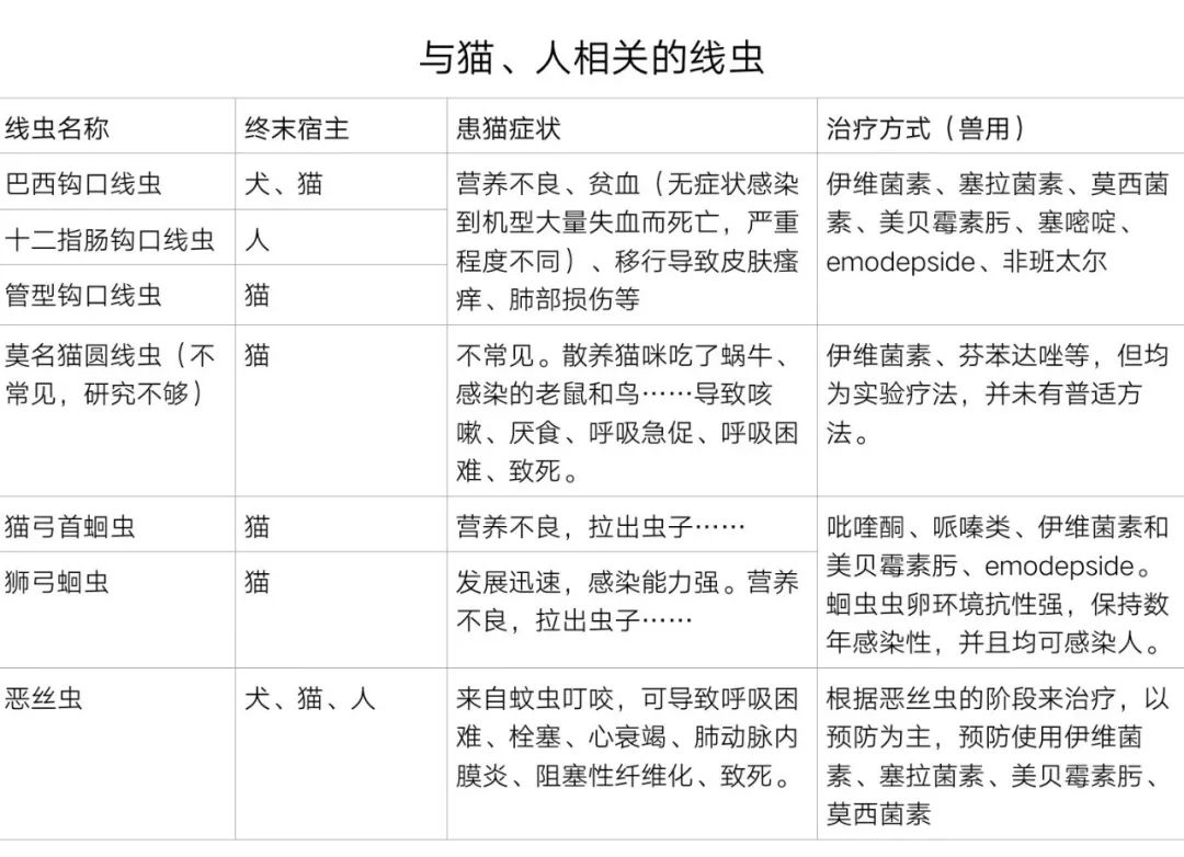 猫咪身上的寄生虫怎么处理,按时驱虫的猫咪还会有寄生虫吗