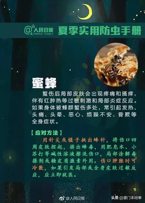 厦门人当心！又有虫子出来惹事！被咬后严重可危及生命