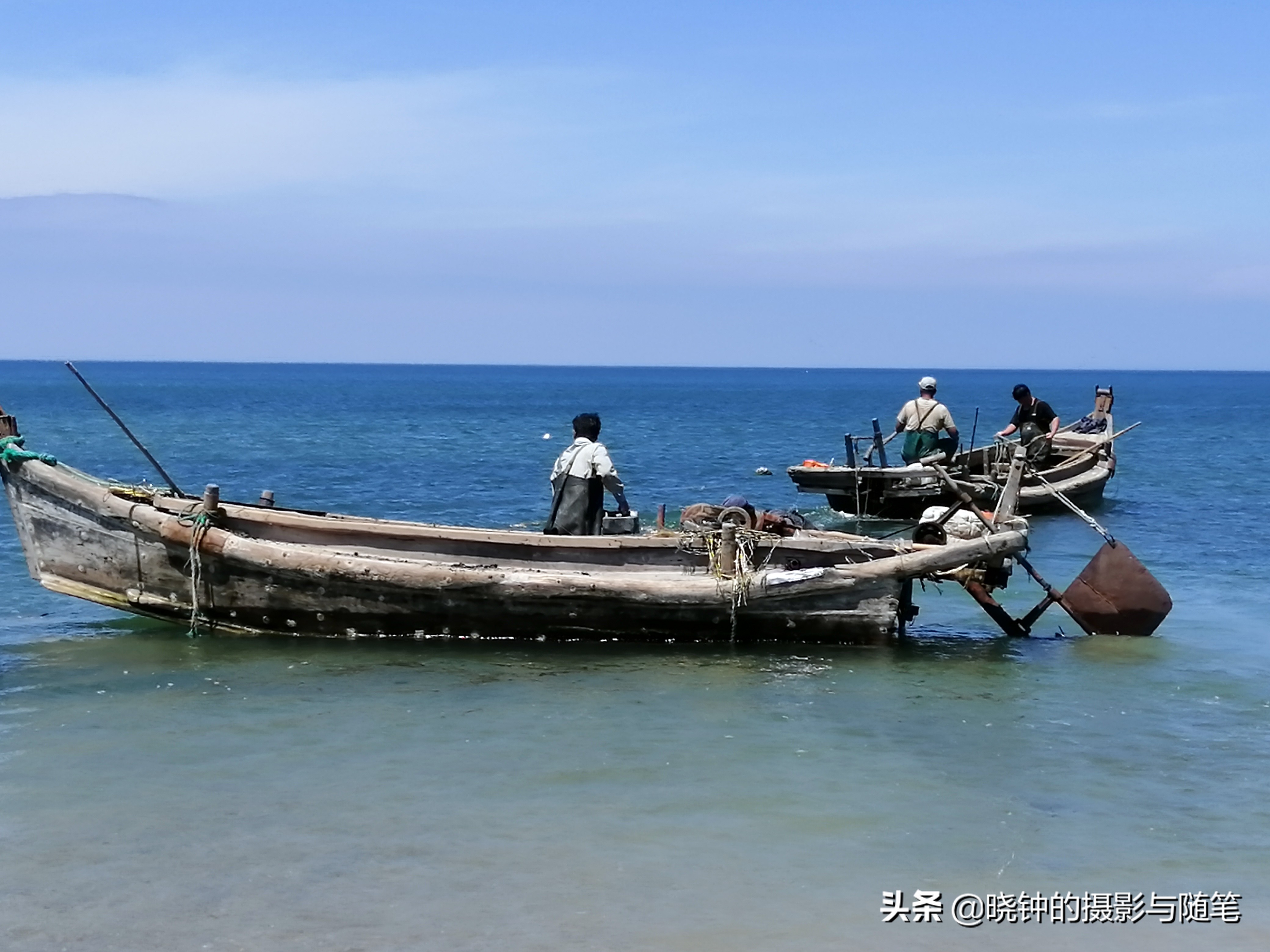 舟山带鱼好吃还是渤海带鱼好吃,舟山带鱼有什么特别