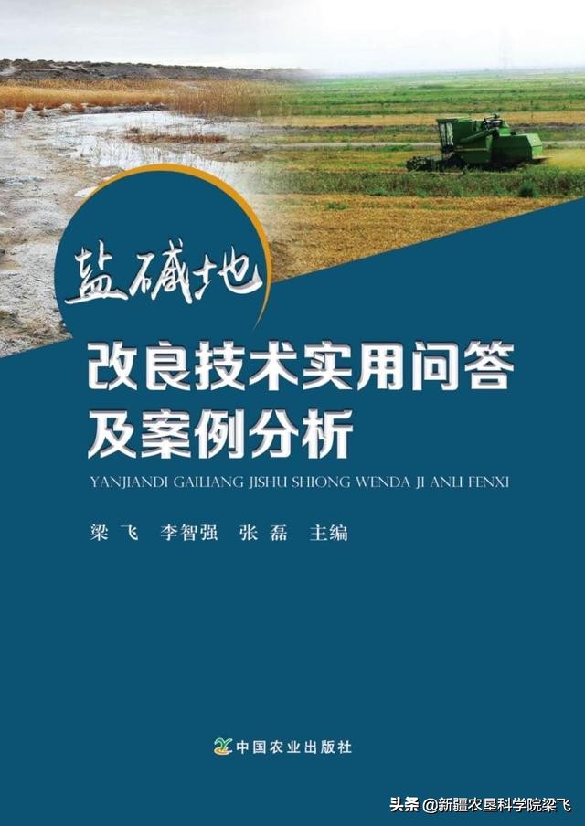 盐碱地小麦什么时候浇返青水最好,小麦地盐碱化