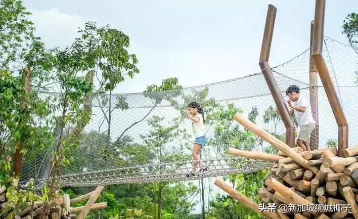 新加坡旅游攻略推荐花园,新加坡花园最新消息