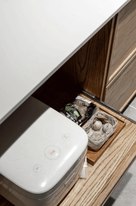 年轻人一人一猫的独居生活,一屋一人一猫的生活视频