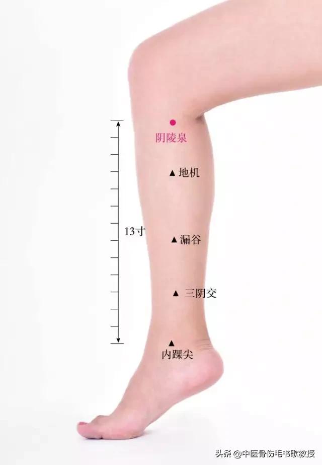老年人身体虚弱按什么穴位,体虚后脚无力需按什么穴位