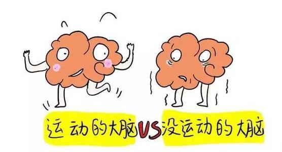 怎样才能让大脑变得更聪明,如何开发大脑的潜能让自己变聪明