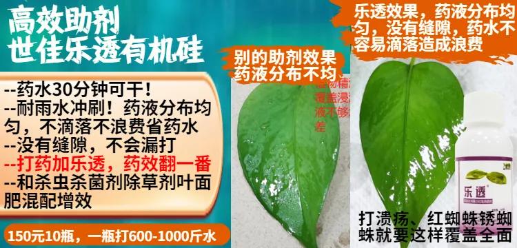 高效氯氟氰菊酯与什么药换着用,高效氯氟氰菊酯兑几倍水