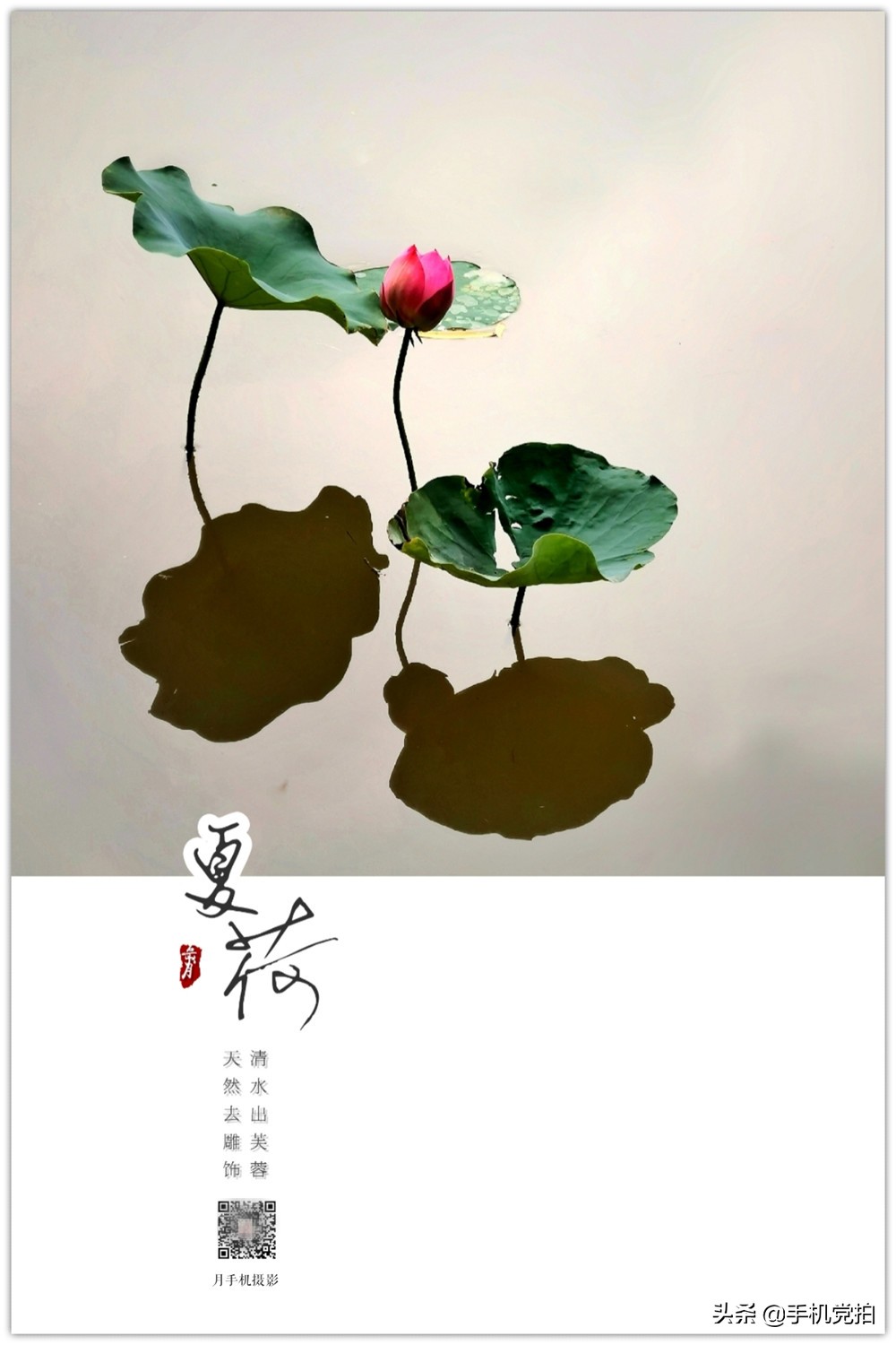 如何快速给大量照片添加水印,怎么给照片加好看的水印