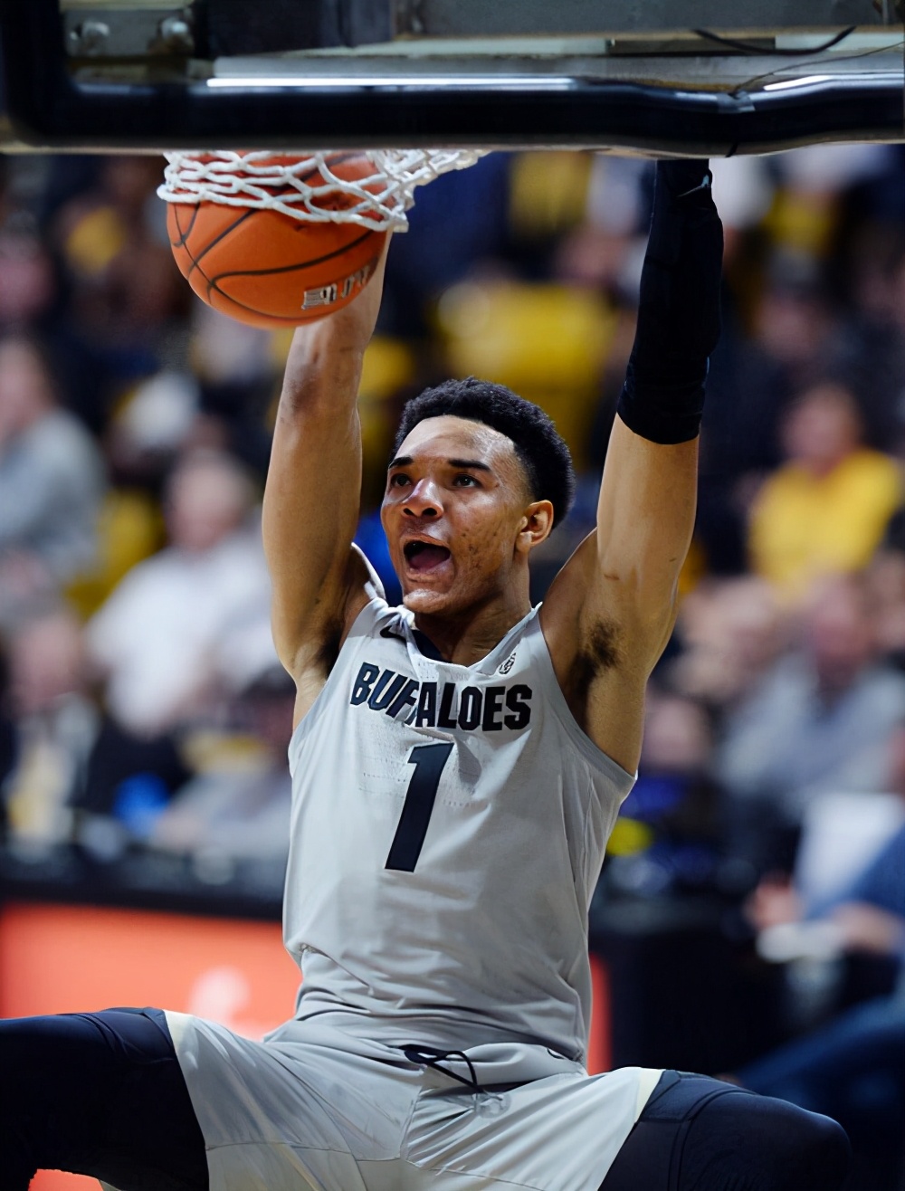 历史第一臂展波尔,历史第一臂展