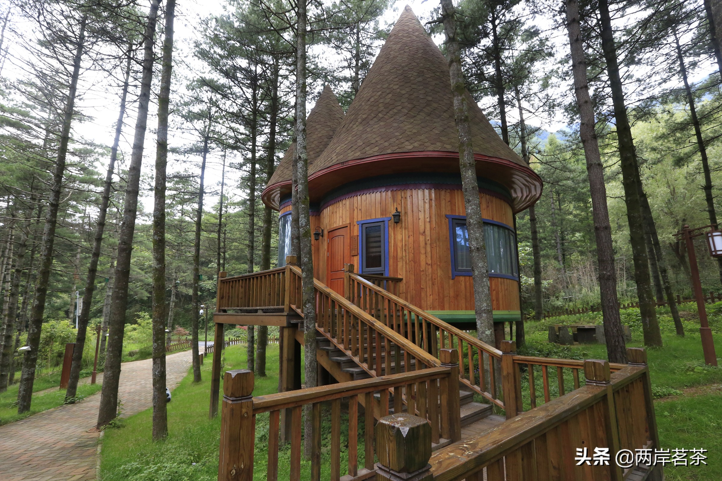 再看白云山,看山不是山,它是一本百读不厌的百科全书