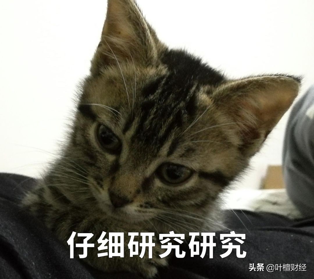 南昌楼市未来走势,一直被忽视逆势上扬