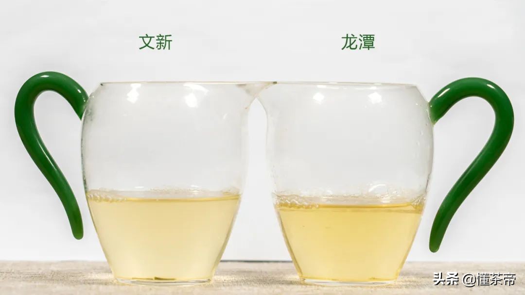 信阳毛尖绿茶测评,信阳毛尖评测