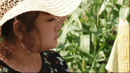 爆浆奶香水果玉米,水果玉米可以直接生吃吗