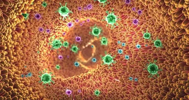 张文宏少吃碳水,张文宏少吃粥完整版