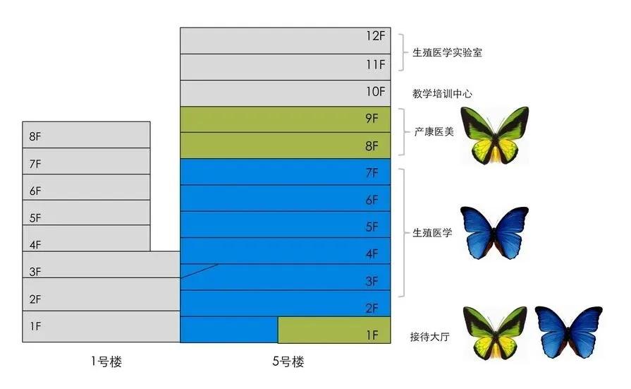 昆明安琪儿官网,昆明安琪儿母婴护理