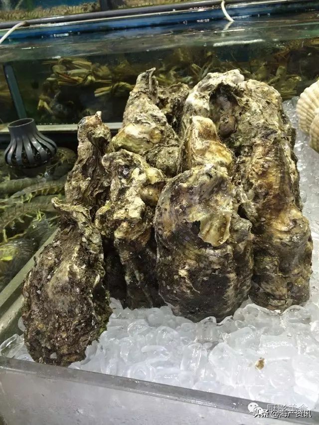 这些诱人的美食你吃过吗,世界上顶级海鲜大全你吃过几种