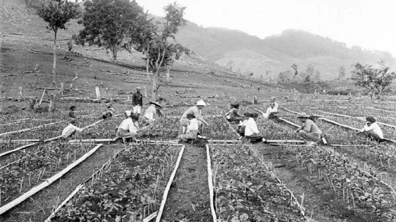 很严重的脚气病会死吗,世界最严重脚气病