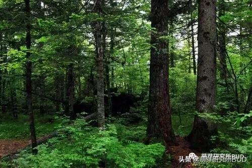 亲子不过夜露营必备物品清单,户外露营小攻略2人