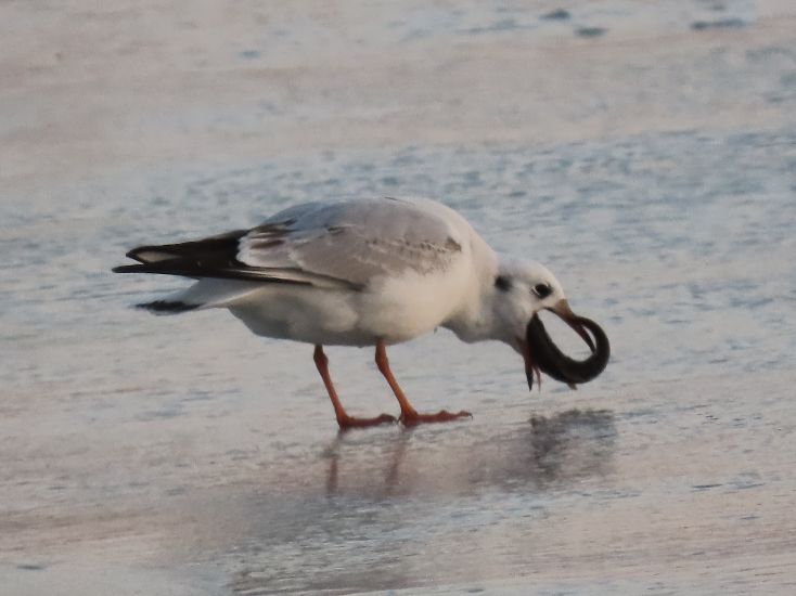 12倍光学变焦数码相机拍摄效果,10倍光学变焦相机拍照片