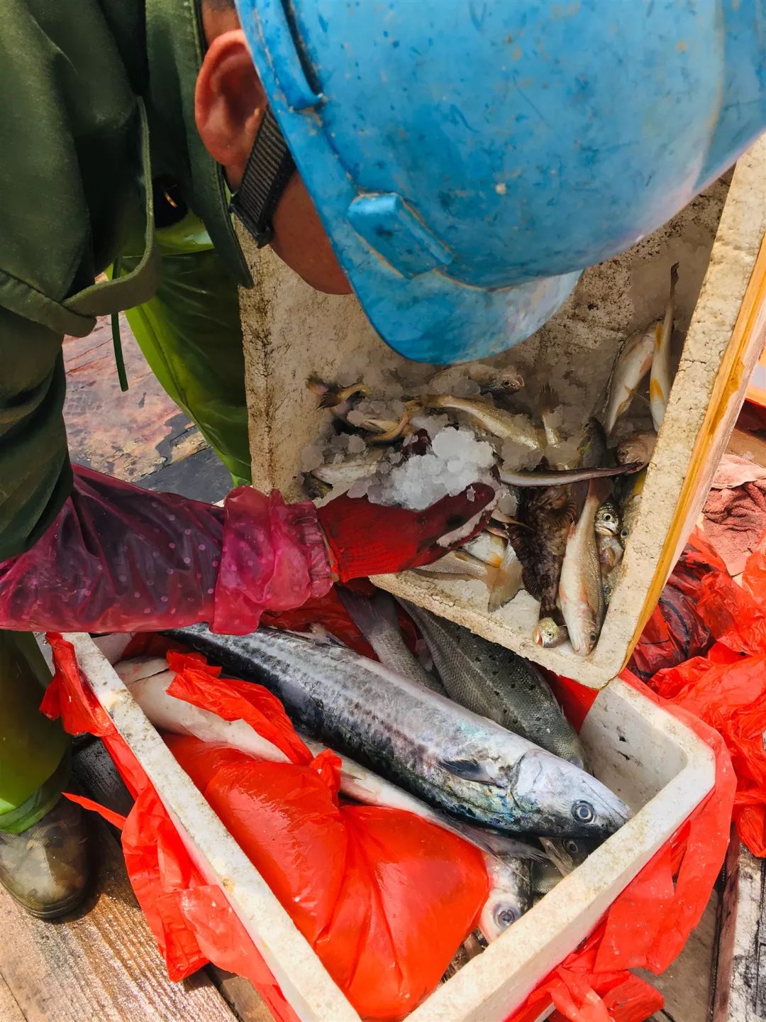 中关村小哥返乡直播“赌网”：每天东海漂四小时，创业十年终发达