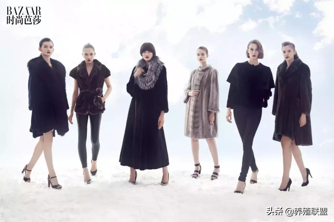 几千和几百的皮衣,一千块可以买什么档次的皮草