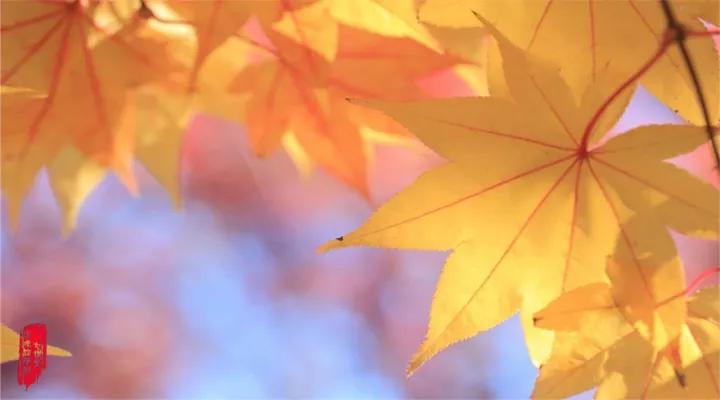 道德经第三章十二字修心诀,道德经第63章讲安身立命