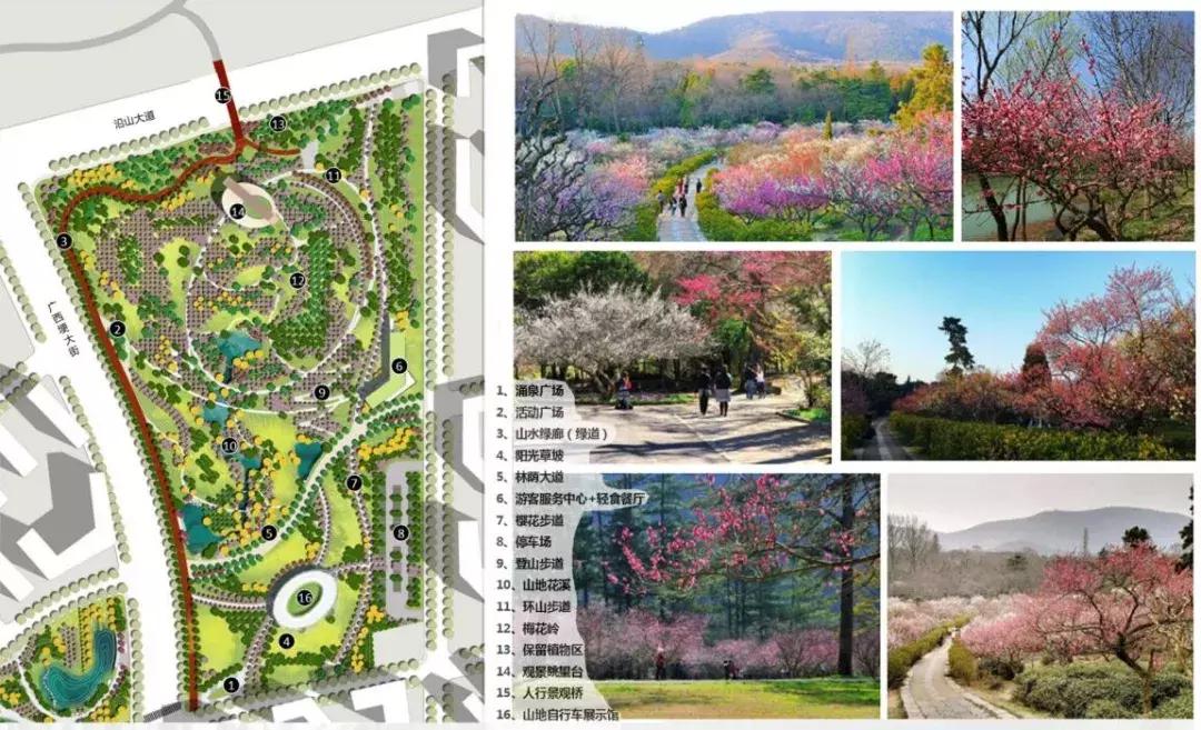 赏梅胜地景点在哪里有,江南赏梅胜地