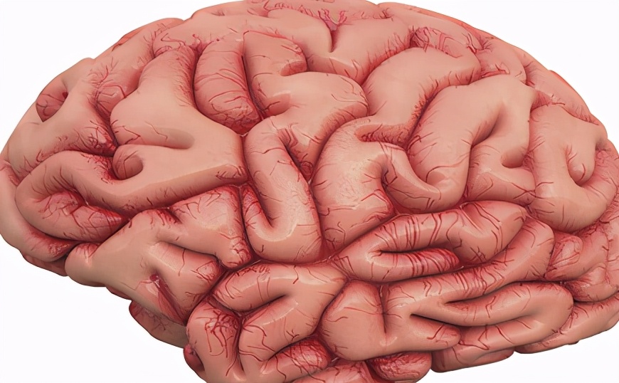 心血管疾病一定同型半胱氨酸高吗,吃半胱氨酸会引起心血管疾病吗