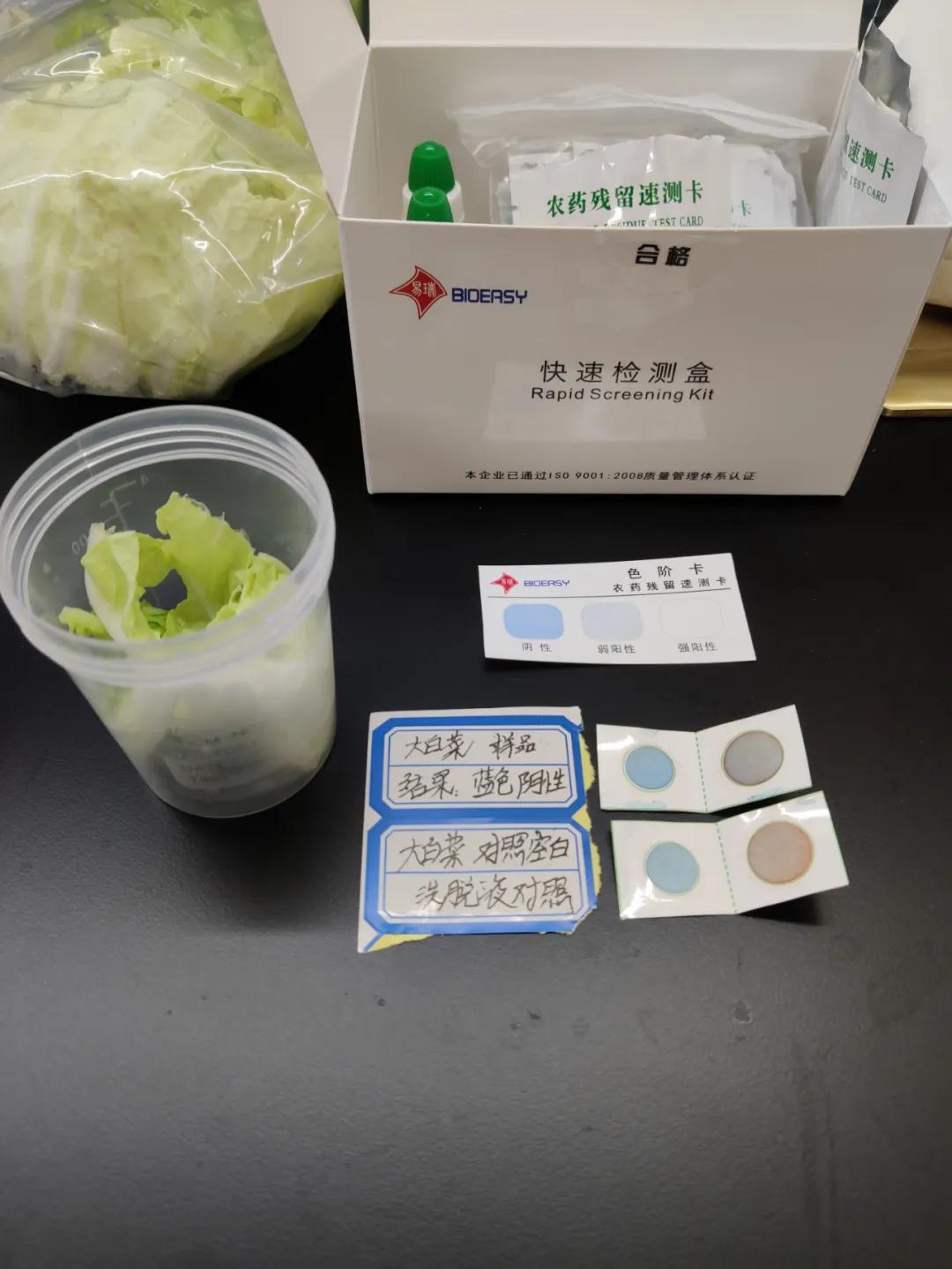 小神兽要回老家读书了,韶关小学神兽返校复课