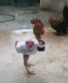 盘点让人哭笑不得的搞笑瞬间,吃瓜搞笑瞬间