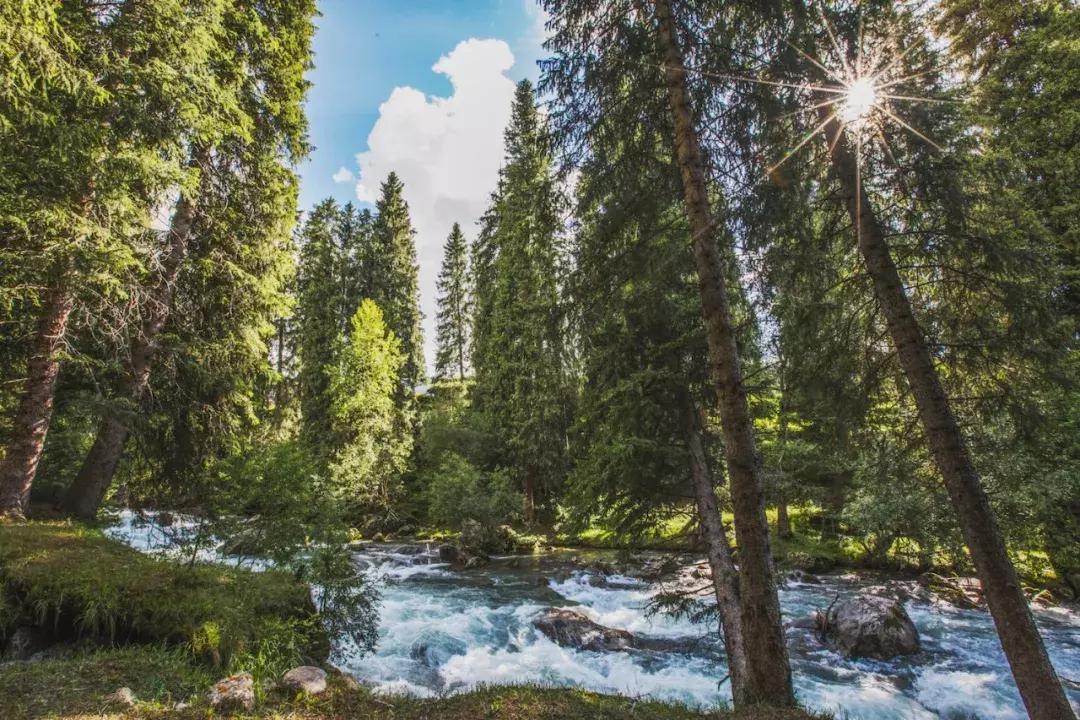 跟着cc一起去旅行吧,跟着摄影团去旅游