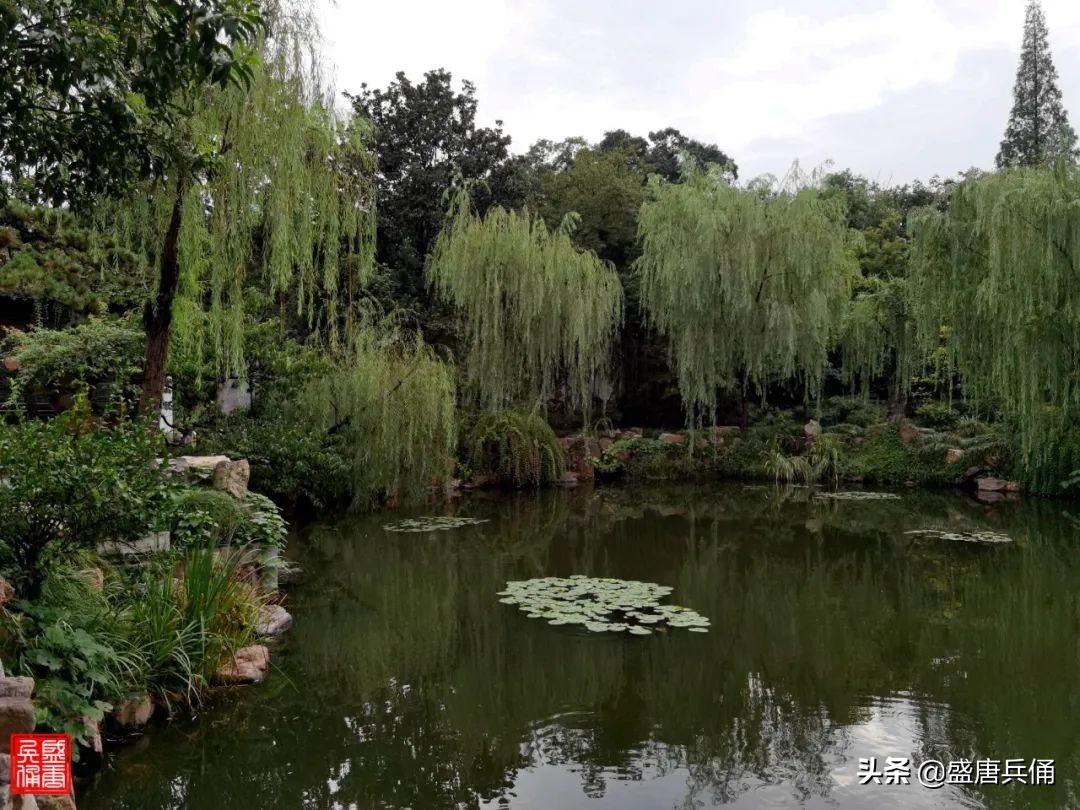 扬州｜垂杨不断接残芜，雁齿红桥俨画图