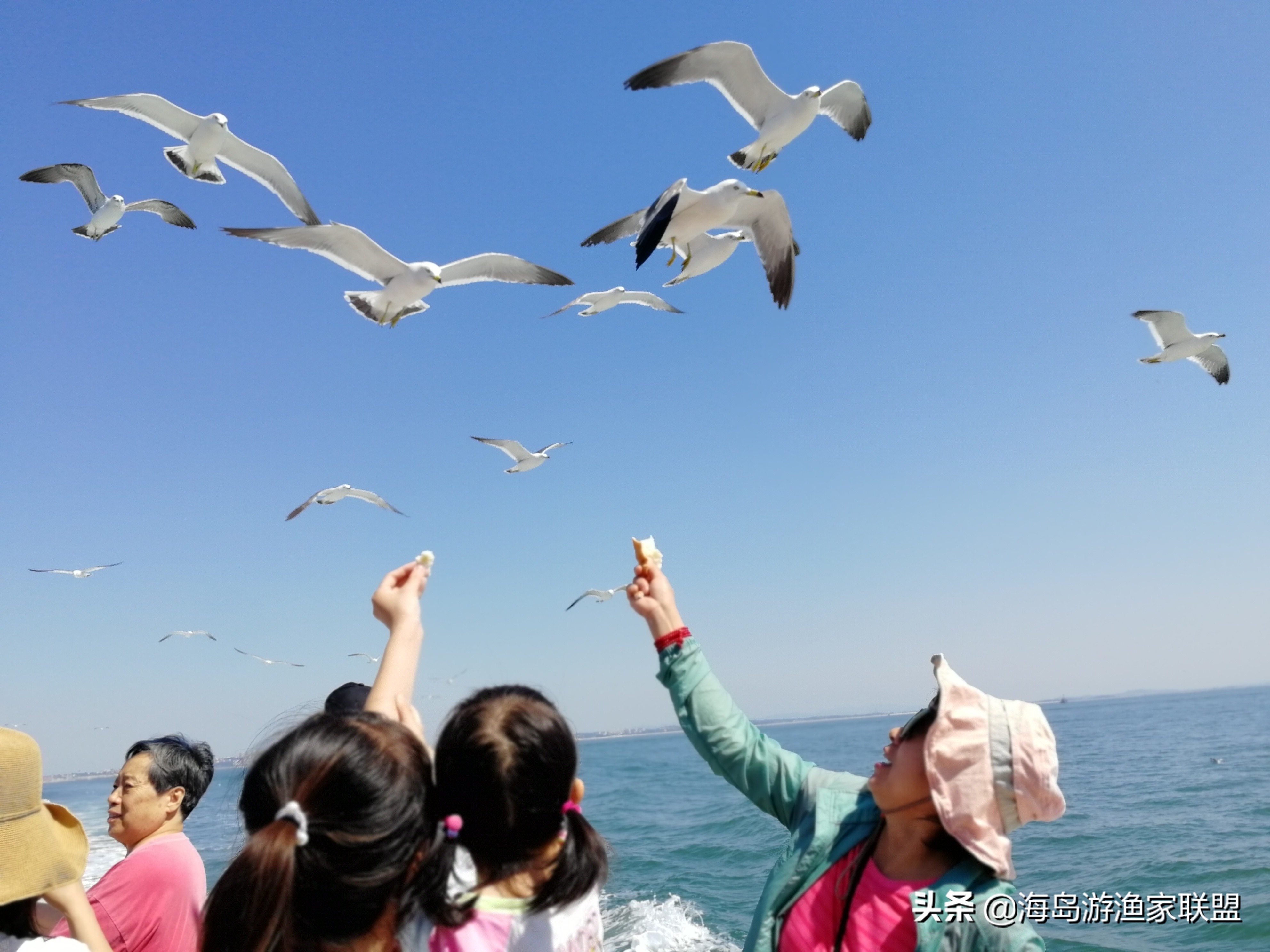 长海带孩子三日游攻略,长海县海岛游推荐格仙岛老七渔家