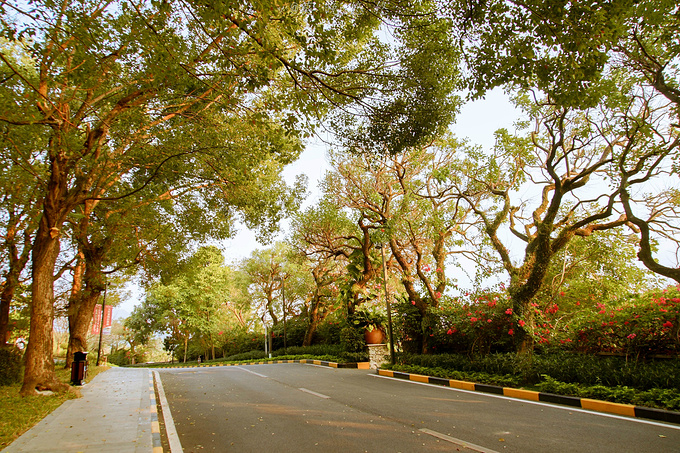 广州巴厘岛免费景点,广州温泉度假攻略