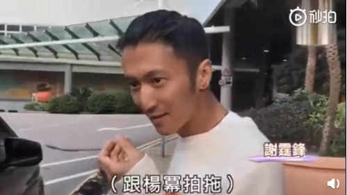 谢霆锋张柏芝王菲杨幂,杨幂张柏芝谢霆锋王菲