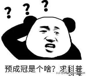 乳牙预成冠的功效与作用,儿童乳牙预成冠一颗多少钱